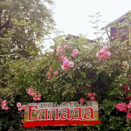 Sadyba Ellada Γιαρέμτσε Εξωτερικό φωτογραφία