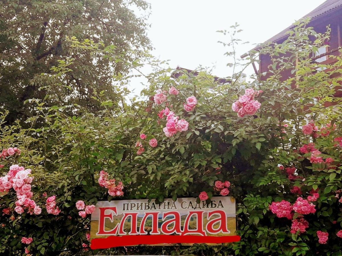 Sadyba Ellada Γιαρέμτσε Εξωτερικό φωτογραφία